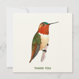 Carte De Remerciements Colibri roux