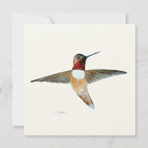 Carte De Remerciements Colibri roux