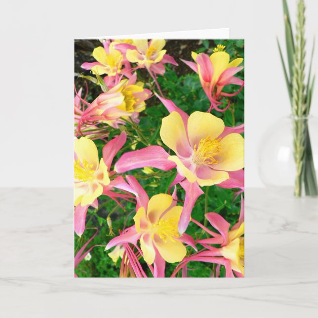 Carte De Remerciements Columbines rose et jaune (Devant)