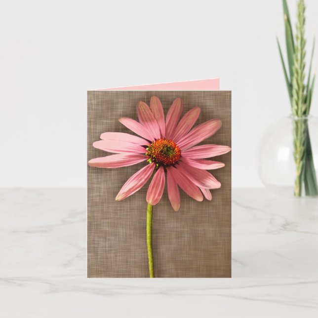 Carte De Remerciements Confleur rose et Brown Echinacea purpurea (Devant)