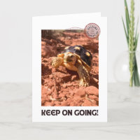 Continuez à aller Inspirational Coddiwompling Turt