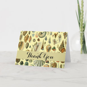 Carte De Remerciements Coquillages de coquillages Mollusk Clam Élégant Ar