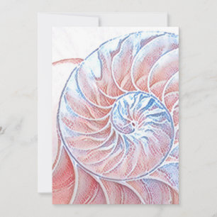 Carte De Remerciements coquille nautilus coquille Fibonacci tourbillon ro