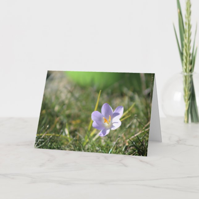 Carte De Remerciements Crocus Blank (Devant)