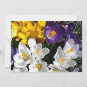 Carte De Remerciements Crocus Fleur Mélange Floral