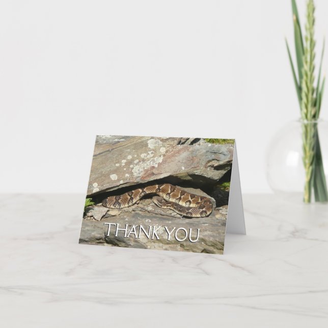 Carte De Remerciements Crotale dans le parc national de Shenandoah (Devant)