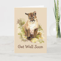 Cuire Cougar Cat Cub Reprendre Bien Reposer