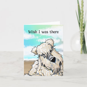 Carte De Remerciements Curieux Beach Wheaten Terrier Card