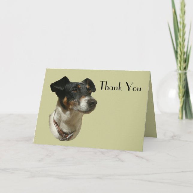 Carte De Remerciements Cute Jack Russell Chien (Devant)