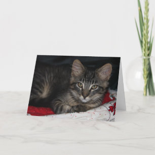 Carte De Remerciements Cute Kitten Thank