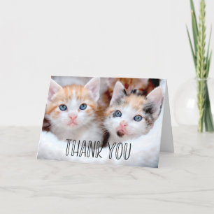 Carte De Remerciements Cute Kittens Photo Whimsical Typographie