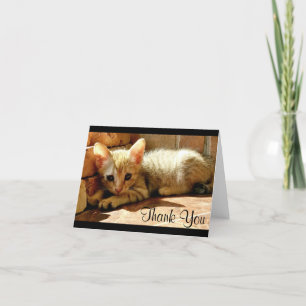 Carte De Remerciements Cute Little Kitten Thank You