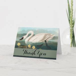Carte De Remerciements cygne audubon cygnes d'eau blanche