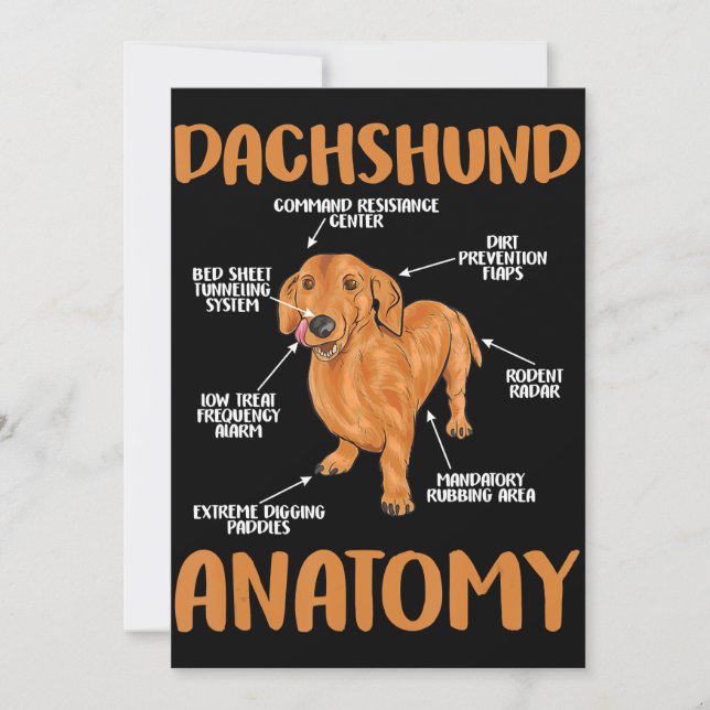 Carte De Remerciements Dachshund Cute Cadeaux Wiener Doxie Amateurs (Devant)