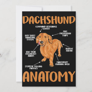 Carte De Remerciements Dachshund Cute Cadeaux Wiener Doxie Amateurs