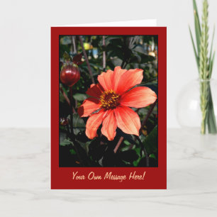 Carte De Remerciements Dahlia