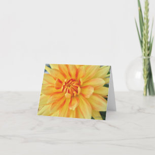 Carte De Remerciements Dahlia jaune, gros plan