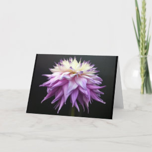 Carte De Remerciements Dahlia sublime de blanc et de pourpre de lavande
