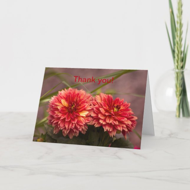 Carte De Remerciements Dahlias rouge (Devant)