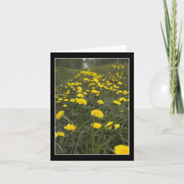 Carte De Remerciements Dandelions en Minnesota (Devant)