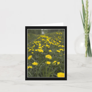Carte De Remerciements Dandelions en Minnesota