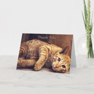 Carte de remerciements de chat, Carte de remerciem
