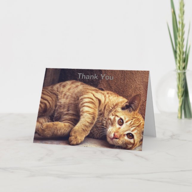 Carte de remerciements de chat, Carte de remerciem (Devant)