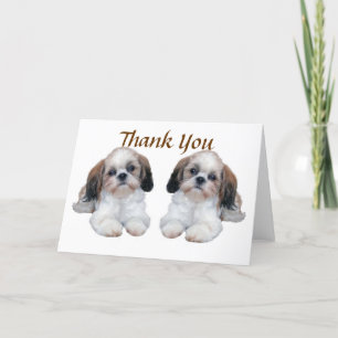 Carte de remerciements de chiots de Shih Tzu