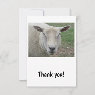 Carte de remerciements de conception des moutons