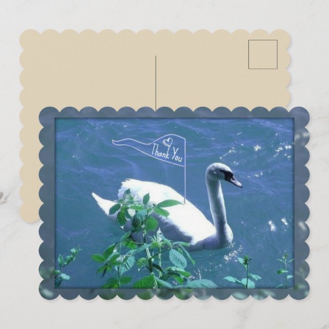 Carte de remerciements de cygne à voile (Devant / Derrière)