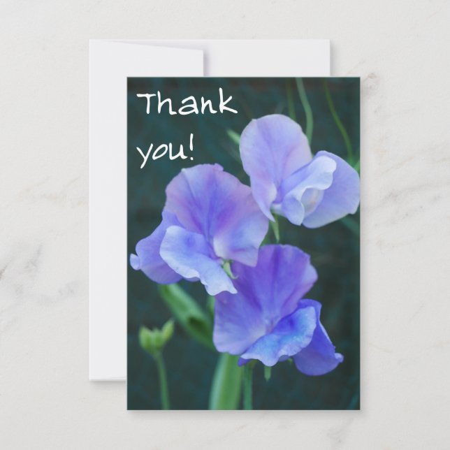 Carte de remerciements de fleurs de pois doux bleu (Devant)