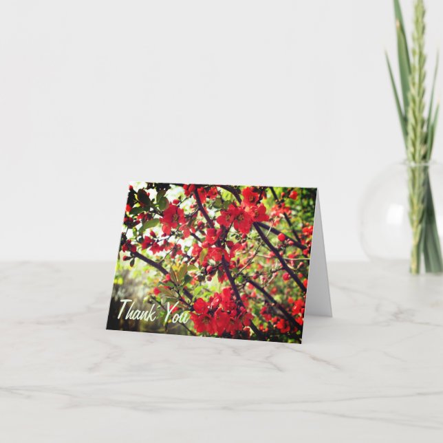 Carte de remerciements de fleurs de printemps roug (Devant)