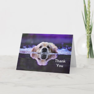 Carte de remerciements de golden retriever