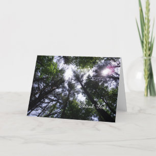 Carte De Remerciements De grands arbres forestiers et le soleil