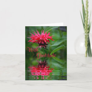 Carte de remerciements de réflexion Bee Balm