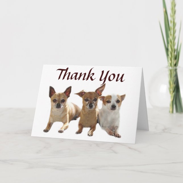 Carte de remerciements de trio de chiwawa (Devant)