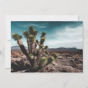 Carte De Remerciements Deserts   Cholla