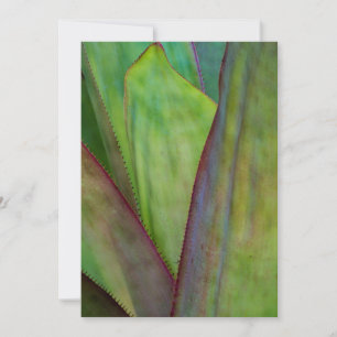 Carte De Remerciements Détail du Plante Agave