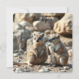 Carte De Remerciements Deux Quokkas Aussie Rottnest IsLand,