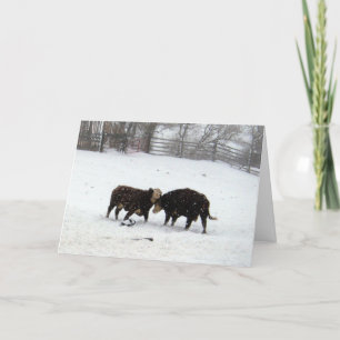 Carte De Remerciements Deux Vaches Pendant La Neige