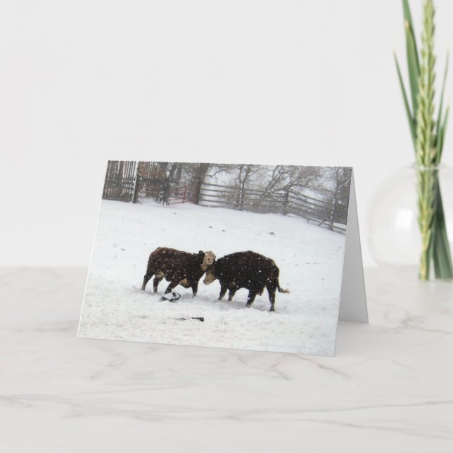 Carte De Remerciements Deux Vaches Pendant La Neige (Devant)