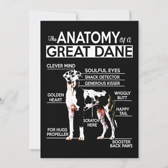 Carte De Remerciements Don de chien| L'Anatomie D'Un Grand Danois (Devant)