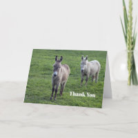 Donkey Brown Tan Animal Photo