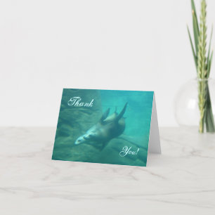 Carte de remerciements d'otaries