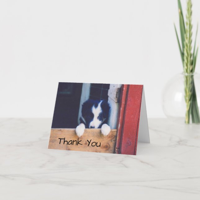 Carte De Remerciements Douce Bordure Collie Chien Chien Chien Chien Chien (Devant)