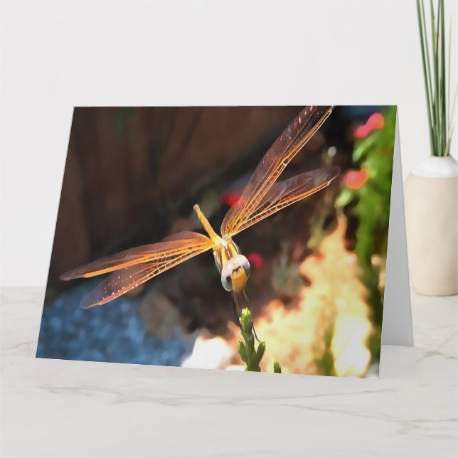 Carte De Remerciements Dragonfly With Sunlight Gilded Wings (Devant)
