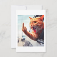 Drôle Chat Moyen Doigt Hilarious Chat Dans La Voit