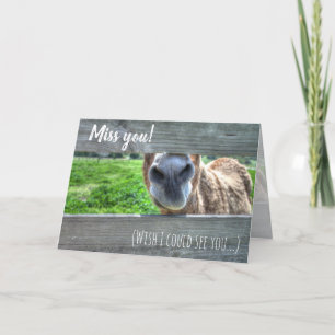 Carte De Remerciements Drôle Donkey "I Miss You" Blu