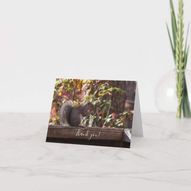 Carte de remerciements du temps de l'écureuil (Devant)