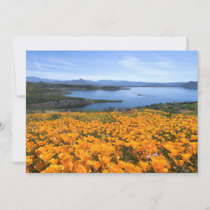 Carte De Remerciements Eau   Lac California Avec Des Pépites D'Or